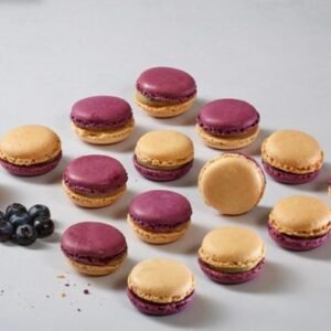 Macarons Vanille-Heidelbeer